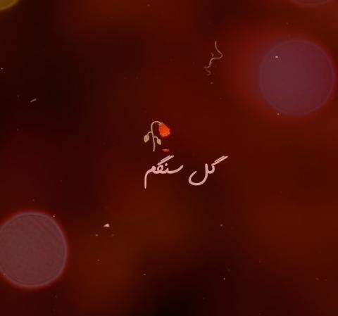 دانلود آهنگ گل سنگ 1 هایده گل سنگم