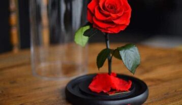 دانلود آهنگ تازه مهستی تازه