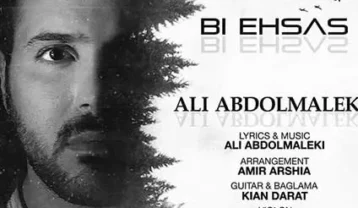دانلود آهنگ علی عبدالمالکی بی احساس علی عبدالمالکی بی احساس