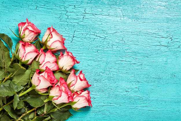 دانلود آهنگ تردید 1 bouquet pink roses blue wood 74947 832