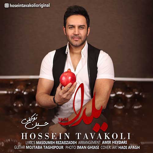 حسین توکلی دلمو بردی حسین توکلی یلدا