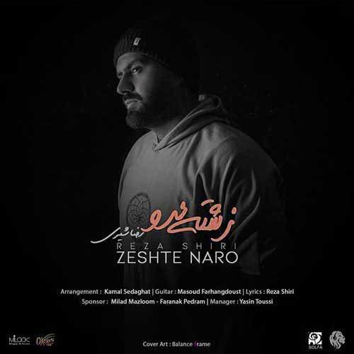 رضا شیری زشته نرو