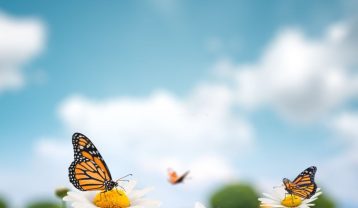 دانلود آهنگ آی بهاره مهستی آی بهاره