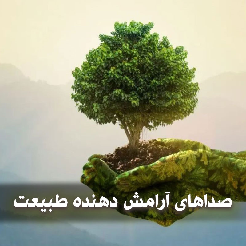 دانلود صداهای آرامش دهنده طبیعت 1 nature 1