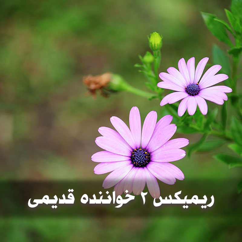 ریمیکس 2 خواننده قدیمی