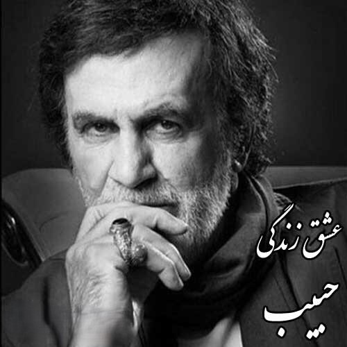 حبیب عشق زندگی