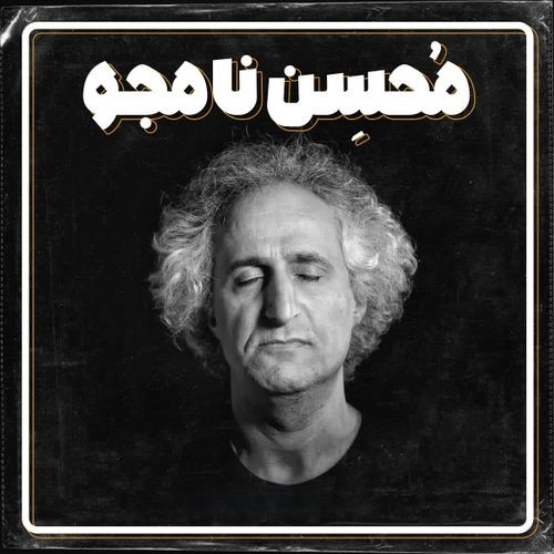 دانلود آهنگ محسن نامجو از هوش می روم 1 محسن نامجو از هوش می روم