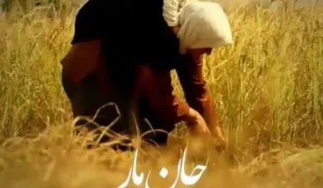 دانلود آهنگ فاطمه مهلبان جان مار فاطمه مهلبان جان مار
