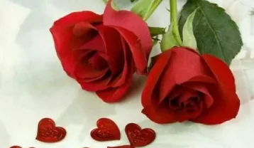 فاطمه مهلبان نمیشه