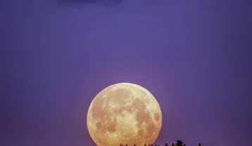 دانلود آهنگ لیلا فروهر شب مهتاب لیلا فروهر شب مهتاب