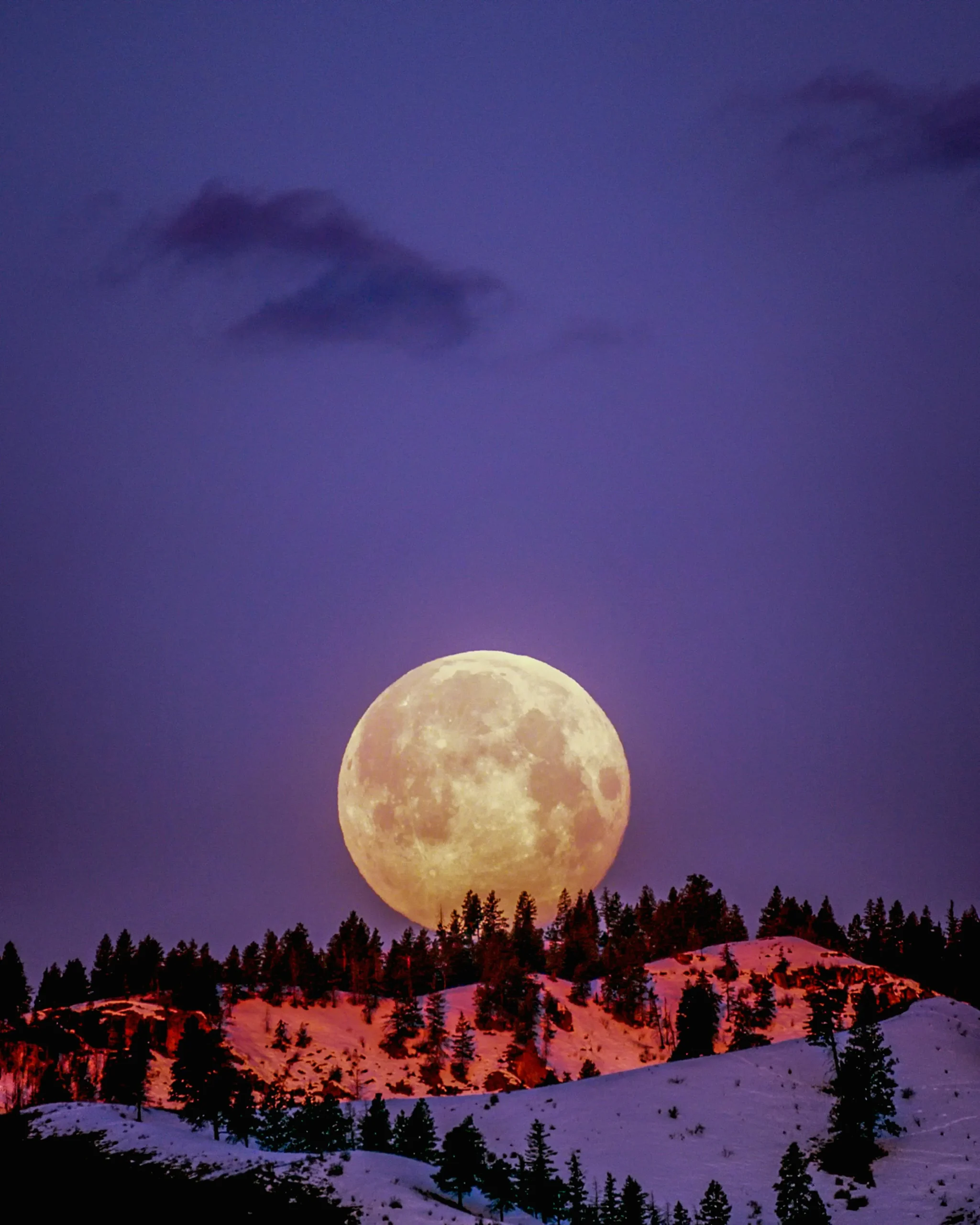 دانلود آهنگ لیلا فروهر شب مهتاب 1 pexels photo 2361600 scaled