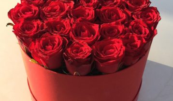 دانلود آهنگ سوگند حبیبی سوگند حبیبی