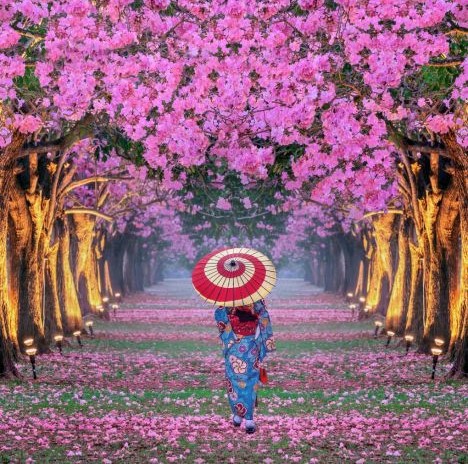 دانلود آهنگ پوران ویرون بشی ای دل 1 پوران ویرون بشی ای دل