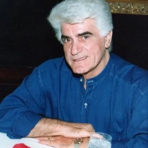 دانلود آهنگ ویگن زن 1 image 2