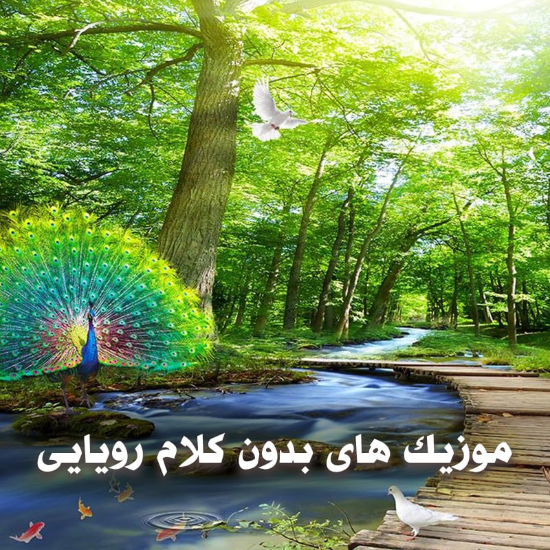 photo 2025 04 16 05 16 55