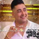 دانلود آهنگ سعید کریمی گمانم آرزوهایم به گورستان میماند