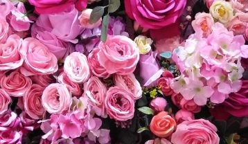 دانلود آهنگ سوسن کوچه باغی سوسن کوچه باغی