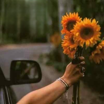 دانلود آهنگ سوسن دل قشنگه 1 سوسن دل قشنگه