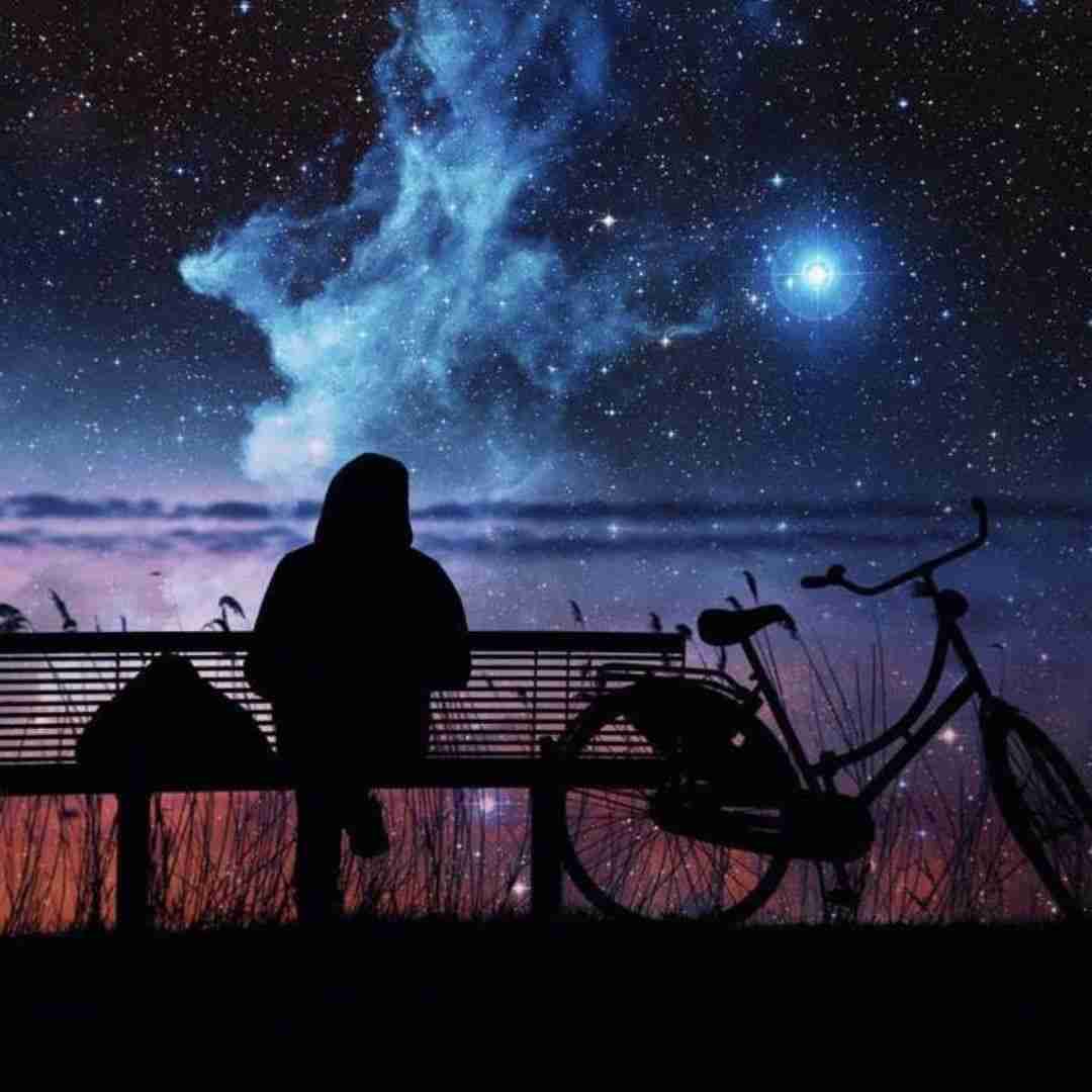 شکیلا آشفته حالی