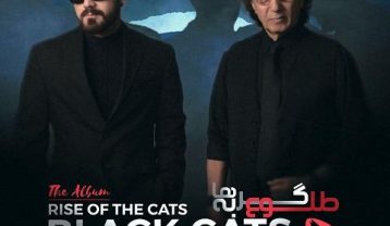 بلک کتس مدلی