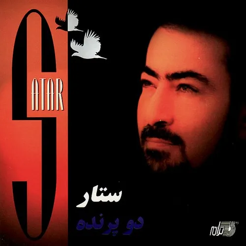 دانلود آهنگ ستار دو پرنده 1 ستار دو پرنده