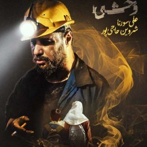 دانلود ریمیکس آهنگ شروین و علی سورنا وحشی 1 ریمیکس آهنگ شروین و علی سورنا وحشی