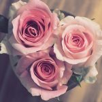 دانلود آهنگ هنگامه قسم میخورم