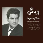 دانلود آهنگ ویگن ستاره مرد