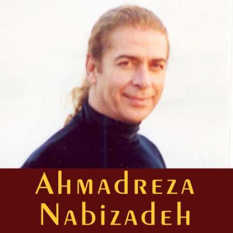 احمدرضا نبی زاده شب و جاده