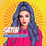 دانلود آهنگ ستین تو رو دوست دارم