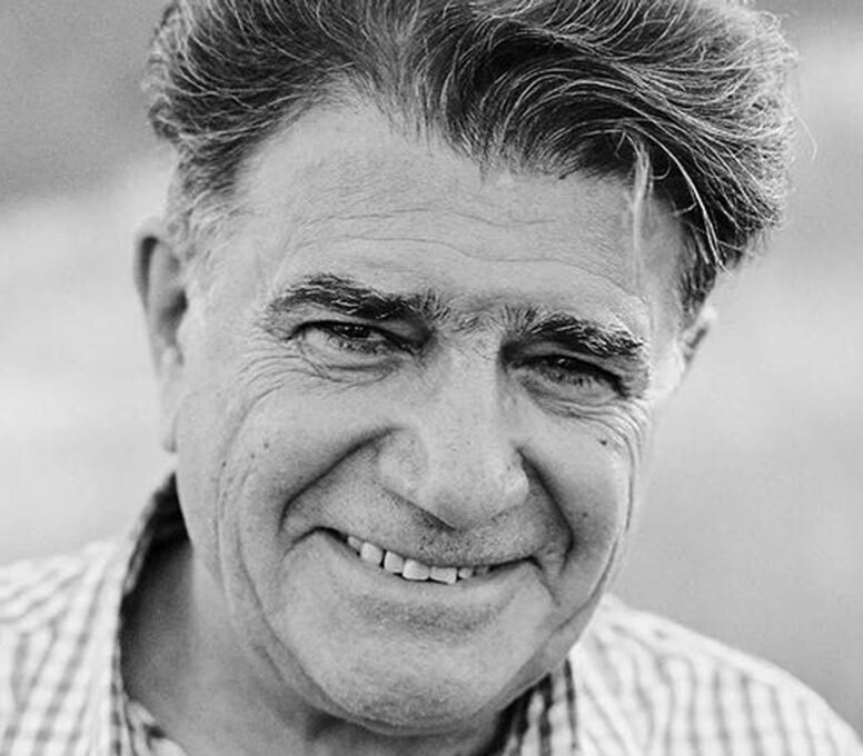 احمد سلو غرق محمدرضا شجریان نگار