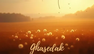سیاوش قمیشی قاصدک