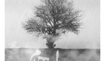 ایهام تمام نا تمام