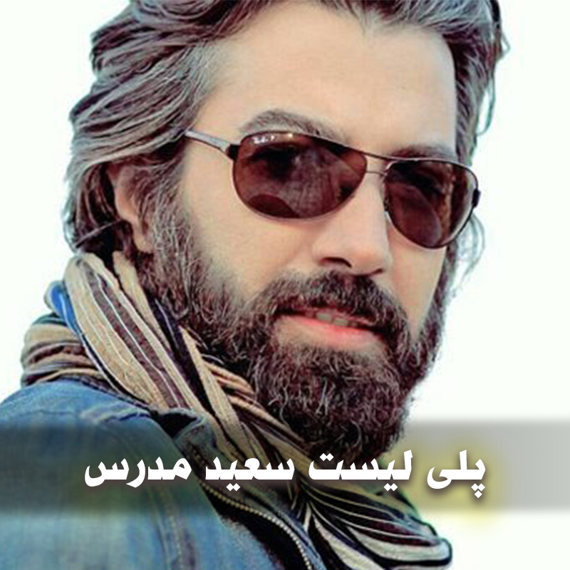 دانلود بهترین آهنگ های سعید مدرس 1 دانلود بهترین آهنگ های سعید مدرس