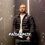 دانلود ریمیکس دیجی پاشا پاشامیکس 15