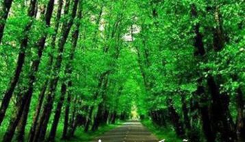 آهنگ های لاتی شمالی