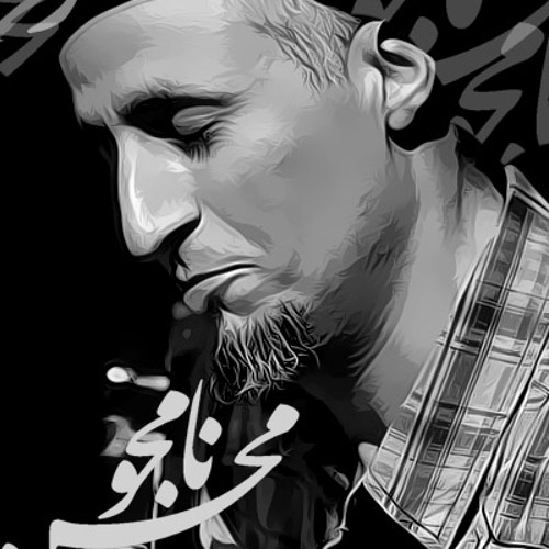 محسن نامجو