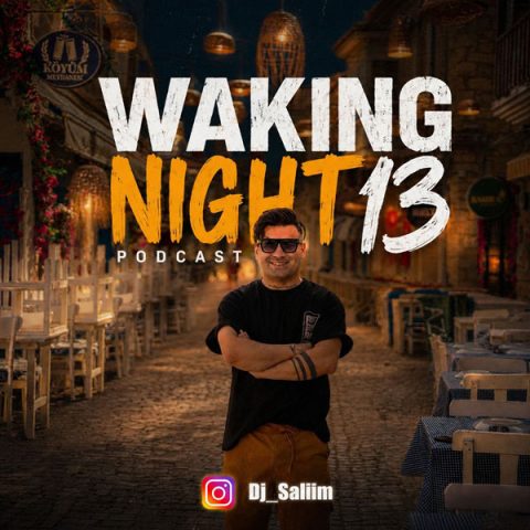 دانلود ریمیکس دیجی سلیم Waking Night 13 1 ریمیکس دیجی سلیم Waking Night 13
