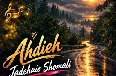 دانلود ریمیکس دیجی میرال جاده های شمالی