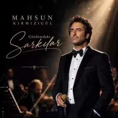 Mahsun Kırmızıgül Olsaydım
