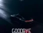 OMER DEEP Goodbye