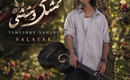 دانلود آهنگ والایار تمشک وحشی